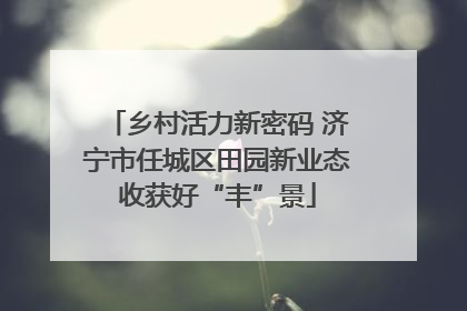 乡村活力新密码 济宁市任城区田园新业态收获好“丰”景