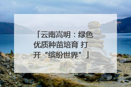 云南嵩明：绿色优质种苗培育 打开“缤纷世界”