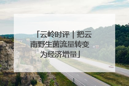 云岭时评｜把云南野生菌流量转变为经济增量