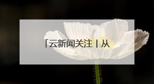 云新闻关注丨从 “A到Z”，发现藏在昆明建筑里的“密码”
