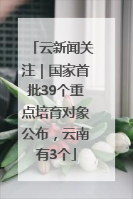 云新闻关注｜国家首批39个重点培育对象公布，云南有3个