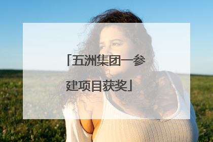 五洲集团一参建项目获奖