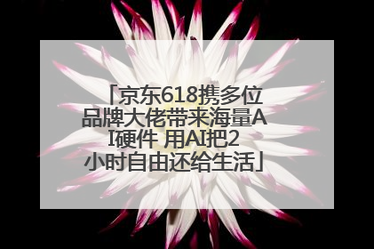 京东618携多位品牌大佬带来海量AI硬件 用AI把2小时自由还给生活