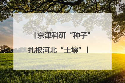 京津科研“种子”扎根河北“土壤”