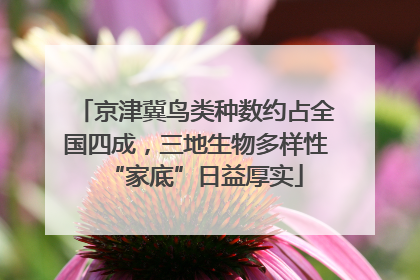 京津冀鸟类种数约占全国四成，三地生物多样性“家底”日益厚实