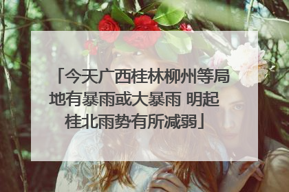 今天广西桂林柳州等局地有暴雨或大暴雨 明起桂北雨势有所减弱