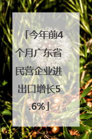 今年前4个月广东省民营企业进出口增长5.6%