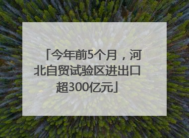 今年前5个月，河北自贸试验区进出口超300亿元