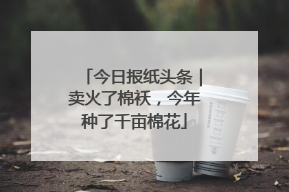 今日报纸头条｜卖火了棉袄，今年种了千亩棉花