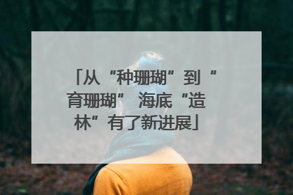 从“种珊瑚”到“育珊瑚” 海底“造林”有了新进展