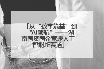 从“数字筑基”到“AI领航”——湖南国资国企竞速人工智能新赛道