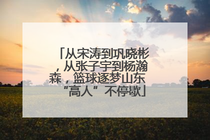 从宋涛到巩晓彬，从张子宇到杨瀚森，篮球逐梦山东“高人”不停歇