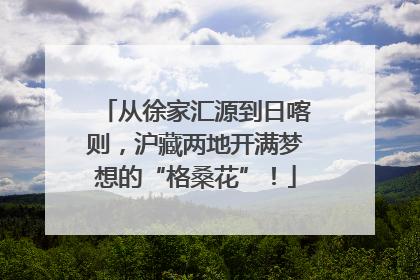 从徐家汇源到日喀则，沪藏两地开满梦想的“格桑花”！
