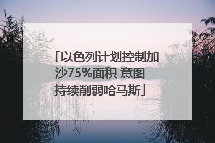 以色列计划控制加沙75%面积 意图持续削弱哈马斯
