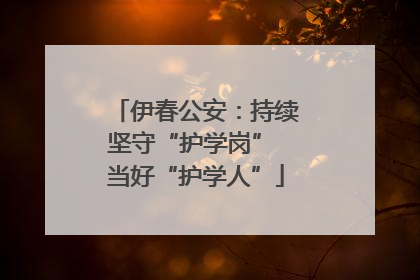 伊春公安：持续坚守“护学岗” 当好“护学人”