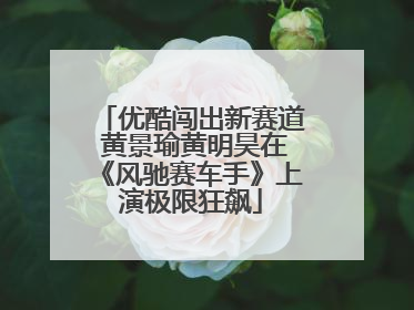 优酷闯出新赛道 黄景瑜黄明昊在《风驰赛车手》上演极限狂飙