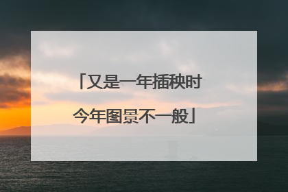 又是一年插秧时 今年图景不一般