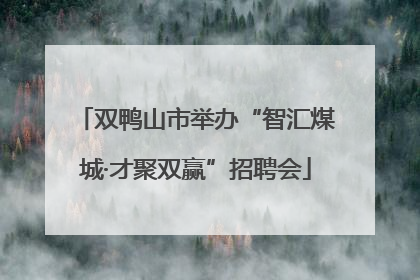 双鸭山市举办“智汇煤城·才聚双赢”招聘会