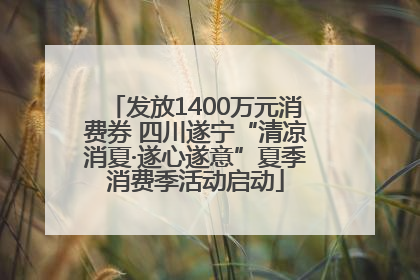 发放1400万元消费券 四川遂宁“清凉消夏·遂心遂意”夏季消费季活动启动