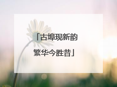 古埠现新韵 繁华今胜昔