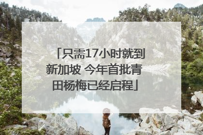 只需17小时就到新加坡 今年首批青田杨梅已经启程