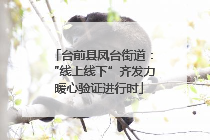 台前县凤台街道：“线上线下”齐发力 暖心验证进行时