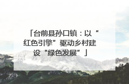 台前县孙口镇：以“红色引擎”驱动乡村建设“绿色发展”