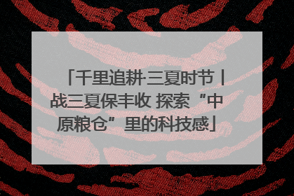 千里追耕·三夏时节丨战三夏保丰收 探索“中原粮仓”里的科技感