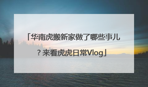 华南虎搬新家做了哪些事儿？来看虎虎日常Vlog
