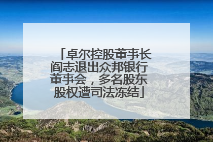卓尔控股董事长阎志退出众邦银行董事会，多名股东股权遭司法冻结