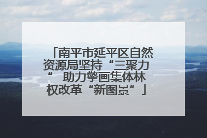 南平市延平区自然资源局坚持“三聚力” 助力擎画集体林权改革“新图景”