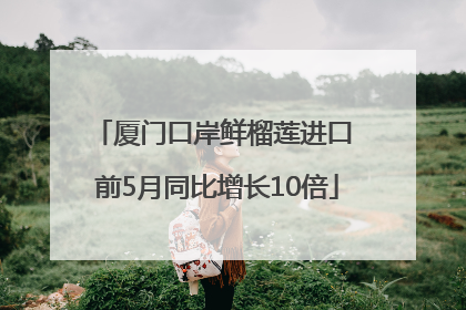 厦门口岸鲜榴莲进口 前5月同比增长10倍