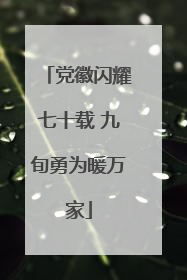 党徽闪耀七十载 九旬勇为暖万家