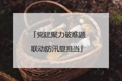 党建聚力破难题 联动防汛显担当