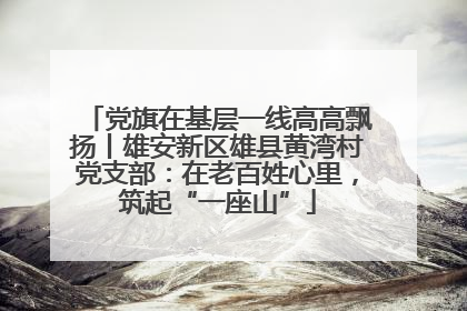党旗在基层一线高高飘扬丨雄安新区雄县黄湾村党支部：在老百姓心里，筑起“一座山”
