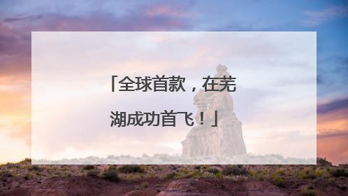 全球首款，在芜湖成功首飞！
