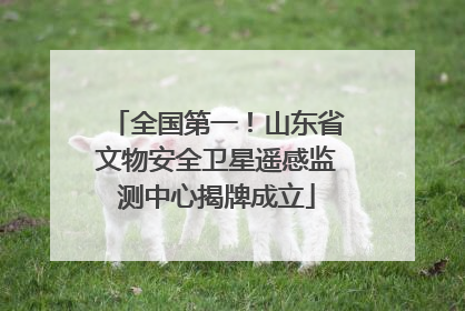 全国第一！山东省文物安全卫星遥感监测中心揭牌成立
