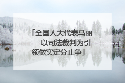 全国人大代表马丽——以司法裁判为引领做实定分止争