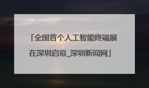 全国首个人工智能终端展在深圳启幕_深圳新闻网