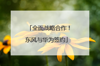 全面战略合作！东风与华为签约