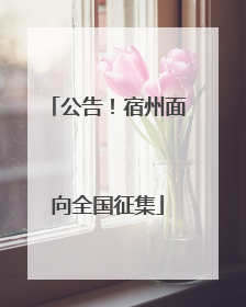 公告！宿州面向全国征集