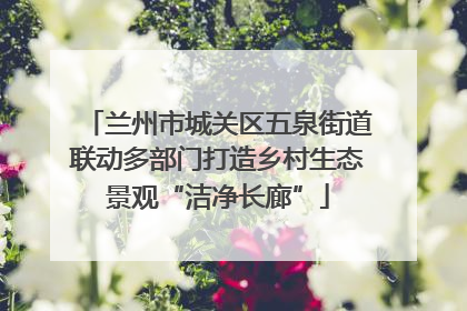 兰州市城关区五泉街道联动多部门打造乡村生态景观“洁净长廊”