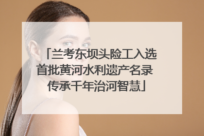 兰考东坝头险工入选首批黄河水利遗产名录 传承千年治河智慧