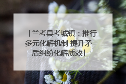 兰考县考城镇：推行多元化解机制 提升矛盾纠纷化解质效