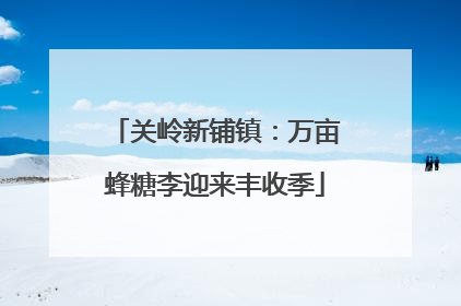 关岭新铺镇：万亩蜂糖李迎来丰收季