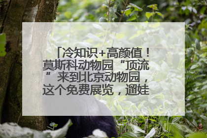 冷知识+高颜值！莫斯科动物园“顶流”来到北京动物园，这个免费展览，遛娃拍照两不误！