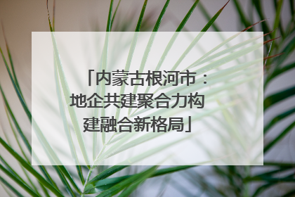 内蒙古根河市：地企共建聚合力构建融合新格局