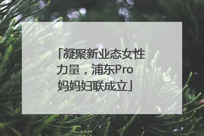 凝聚新业态女性力量，浦东Pro妈妈妇联成立