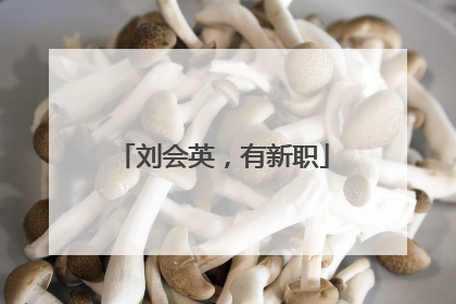 刘会英，有新职