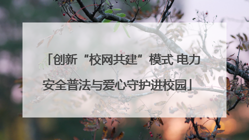 创新“校网共建”模式 电力安全普法与爱心守护进校园
